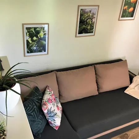 Mobile House Green Garden Apartment