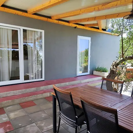 Apartment Mobile House Green Garden